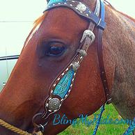 Buck stitched browband headstall.