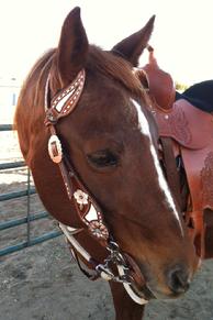 Hand tooled, painted and buckstitched single ear headstall.