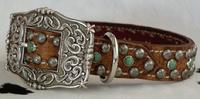 Bling dog collar.