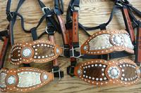 Inlay award halter.