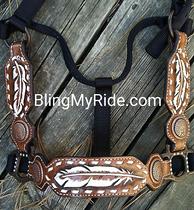 Hand tooled painted buckstitched feather halter with cheeks to match.