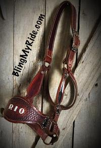 Hand made all LEATHER bling bronc halter personalized with horses name.