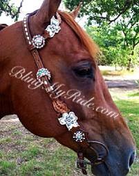 Hand tooled floral cut-out bling headstall.
